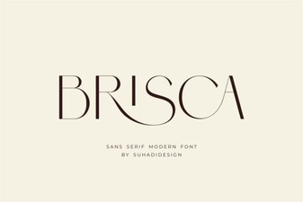 Brisca Font: Creative Styles for Modern Design
